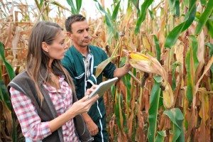 giovani-giovane-agricoltori-by-goodluz-fotolia-750