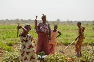 ANSA/ Giornata Africa: in Senegal donne contro fame e povertà