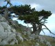 I simboli della montagna I simboli della montagna
