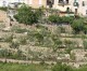 I servizi di prossimità I servizi di prossimità