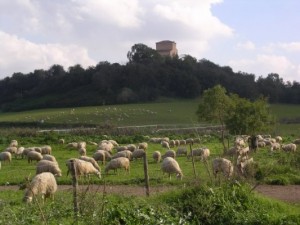 Cooperativa Sociale "Agricoltura Nuova" - Roma