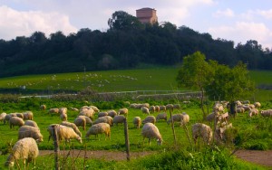 agricoltura roma