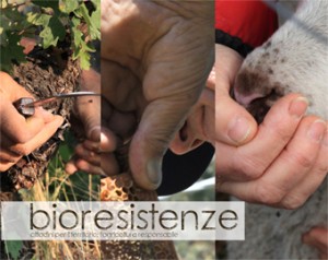 immagine-presentazione-web