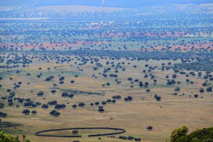 territorio1