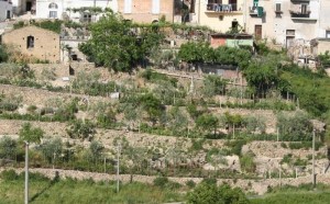 Tricarico, orti saraceni