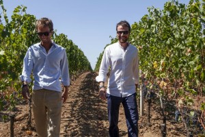 mytailoredwine