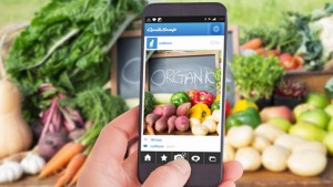 fruttaverduraonline