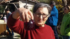 Graziella Picchi